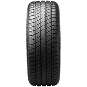 Uniroyal Tiger Paw Touring A/S Tire