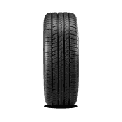 Pirelli P Zero AS + Tire