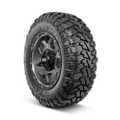 Nexen Roadian MTX Tire
