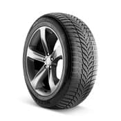 Nexen Winguard Sport 2 Tire