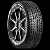 Federal Himalaya WS2 Tire