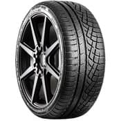 Nokian Remedy WR G5 Tire