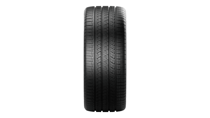 Pirelli P Zero MS Tire