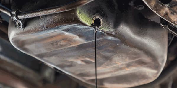 Oil Pan Gasket