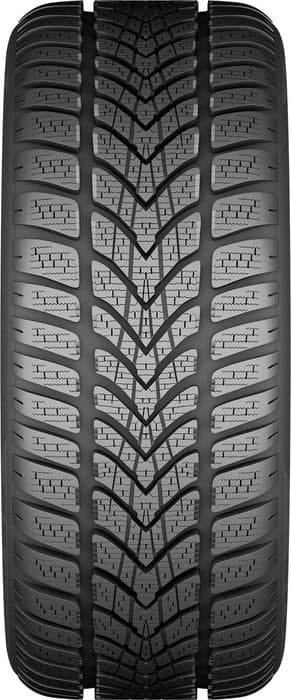 Dunlop SP Winter Sport 4D Tire