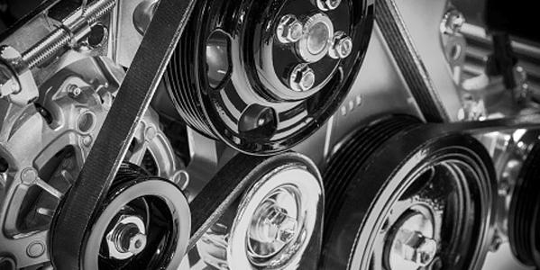 Serpentine Belt